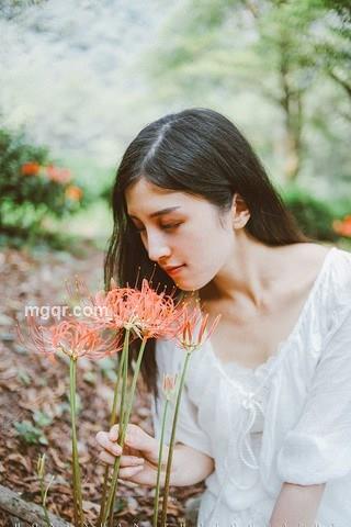 秦时白起的头像