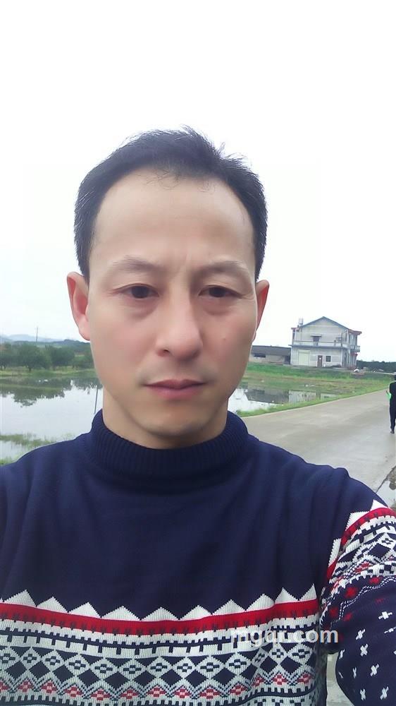 执念的爱的头像