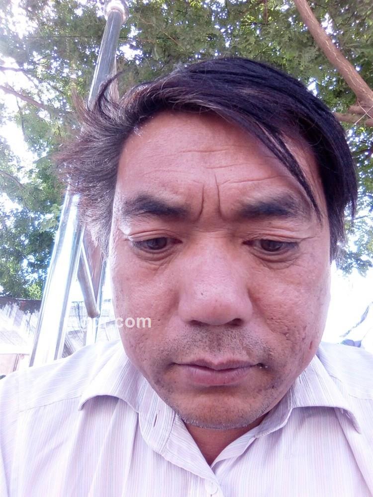 我的家在甘肃的头像