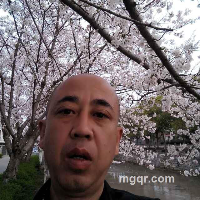 人生如梦的头像