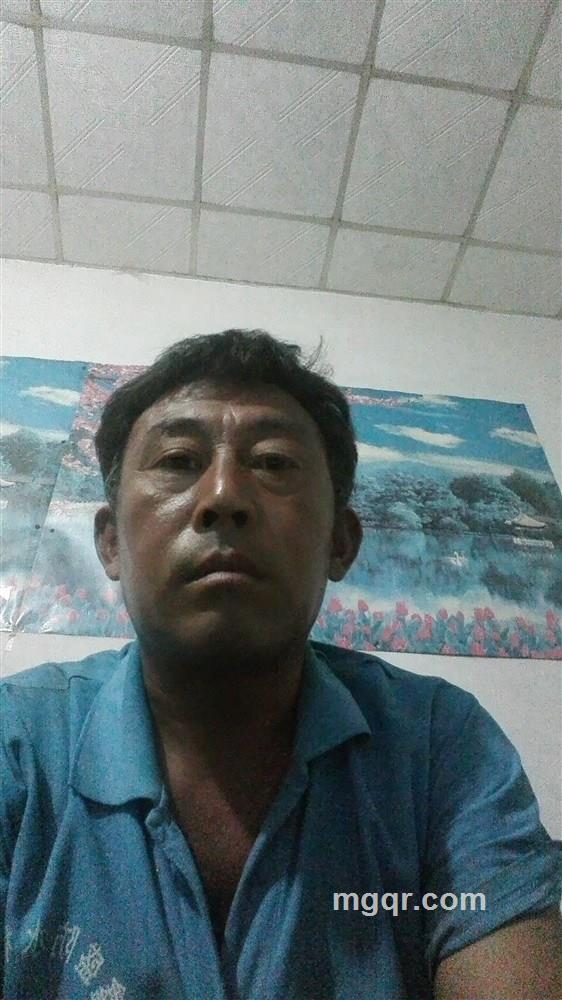 乐尔的头像