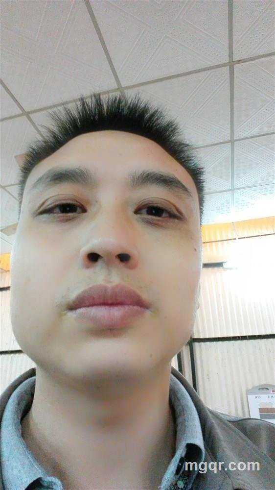 波斯夜猫的头像