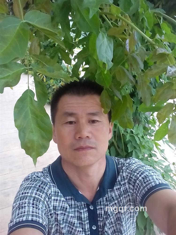 孤雁南飞的头像