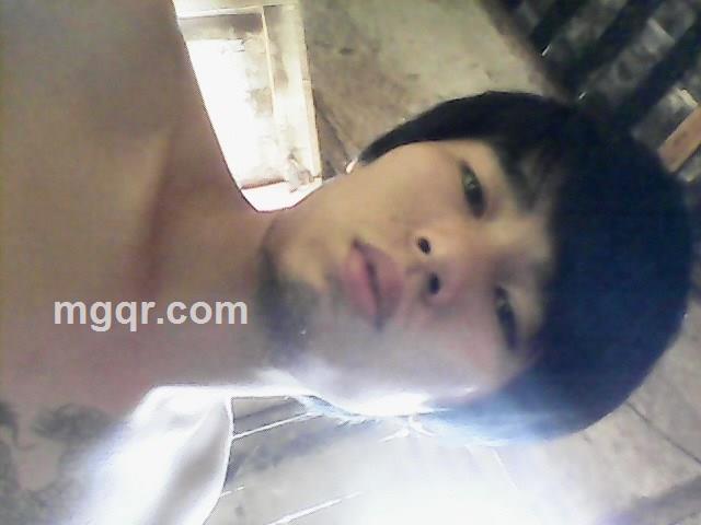 屌丝的爱的头像