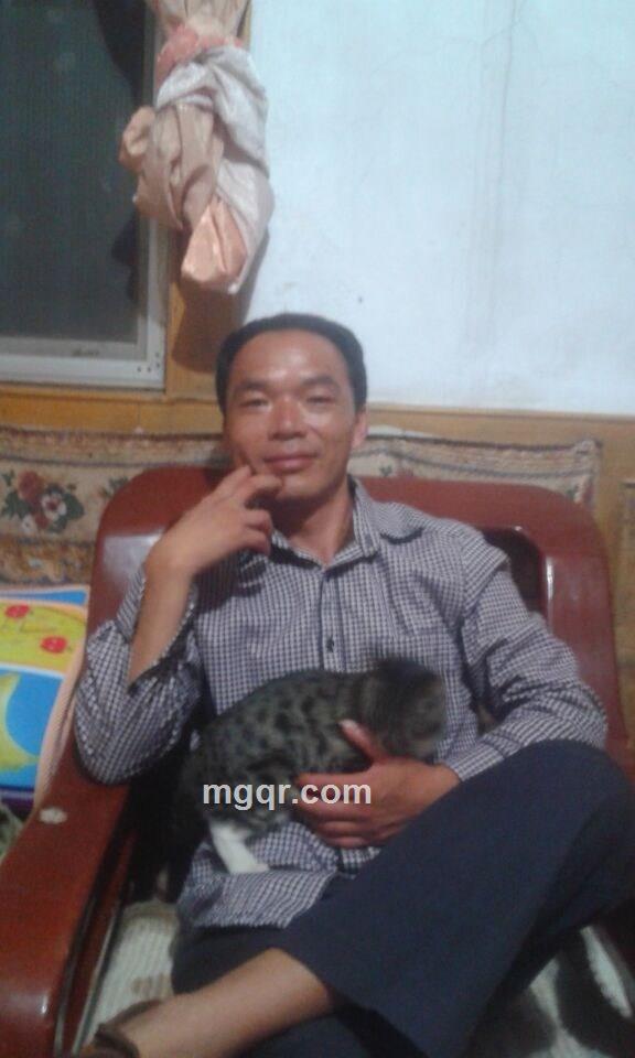 秋雨无声泪的头像