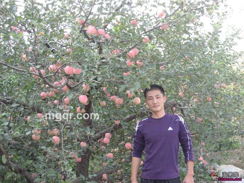 情人约约的头像