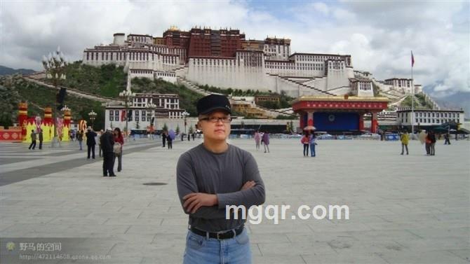 孤狼野马的头像