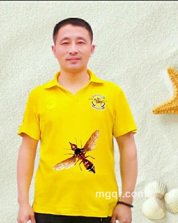 帝王蜂AAA的头像