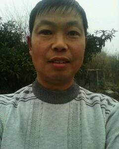 会员2319518的头像