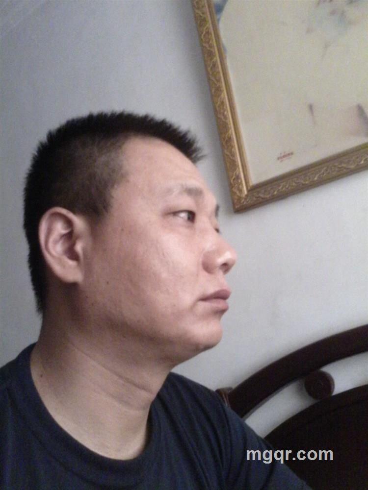 自由的头像