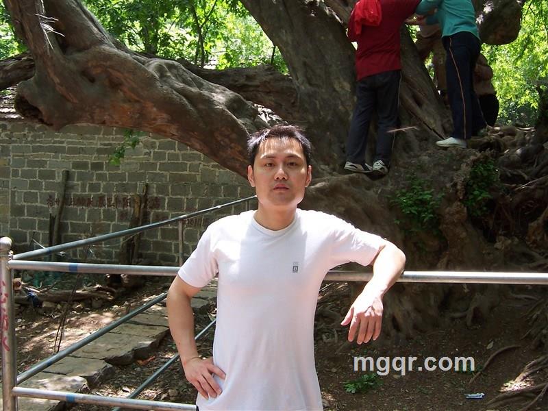 玫瑰龙哥的头像