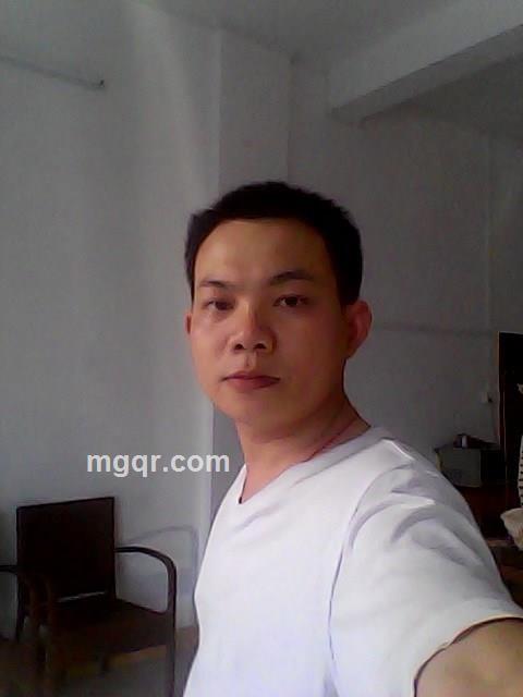 只有情永在的头像