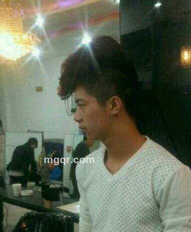 会员3781635的头像