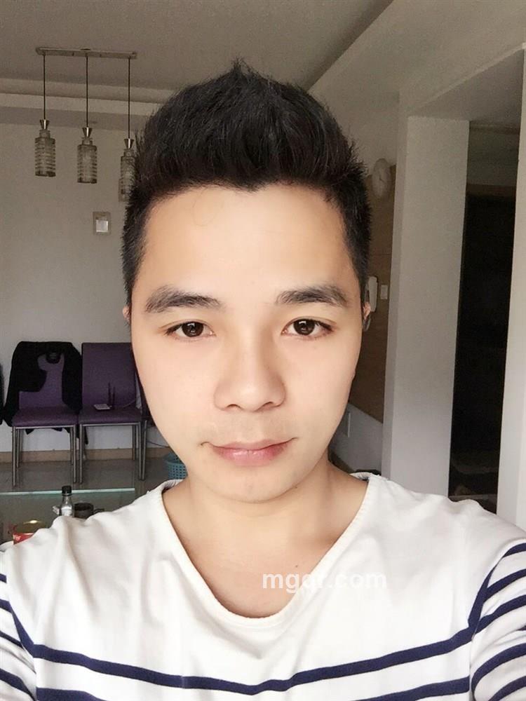 小夜猫子的头像