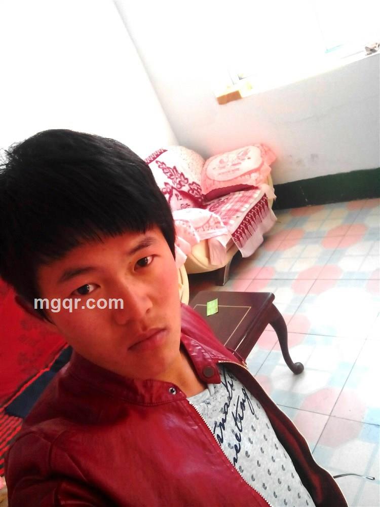 顺藤摸瓜的头像