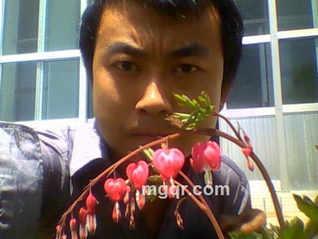 寂寞煮酒的头像