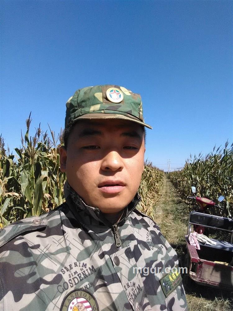 你的理想的头像