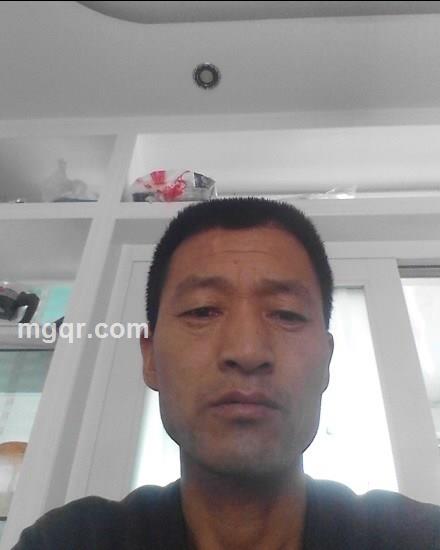 西北飞鹰的头像