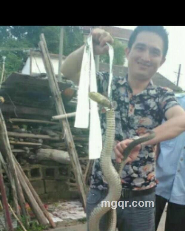 重新开始的头像