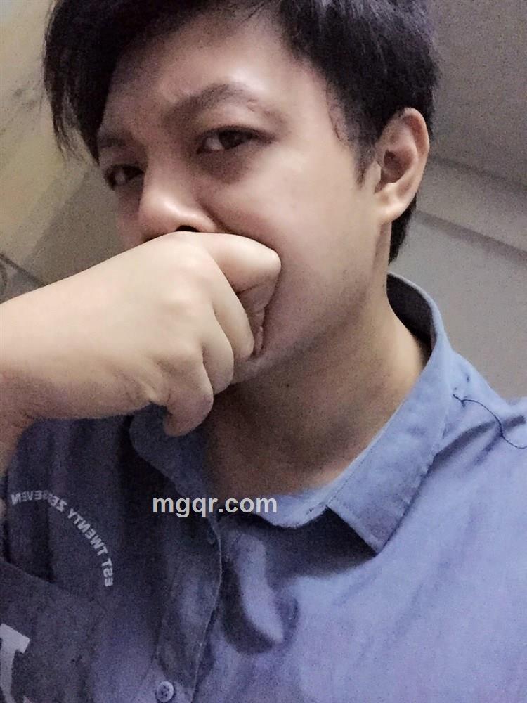 追日碎月的头像