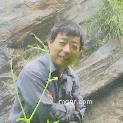 荒野狂奔的头像