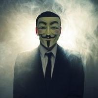 一头流浪的猪的头像