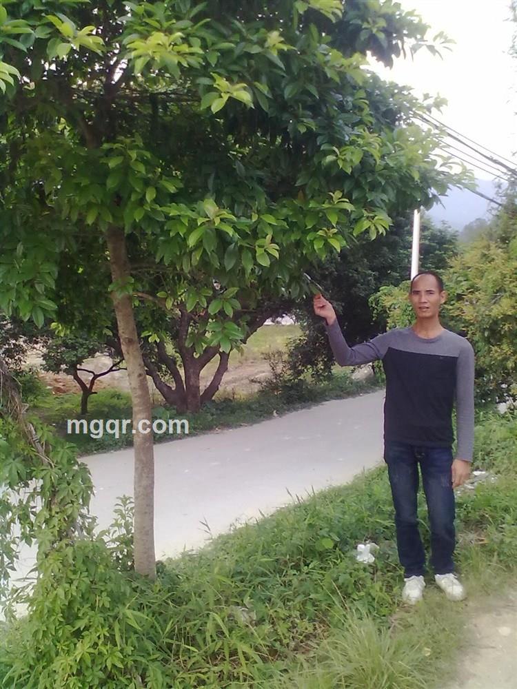 牵手的承诺1314的头像