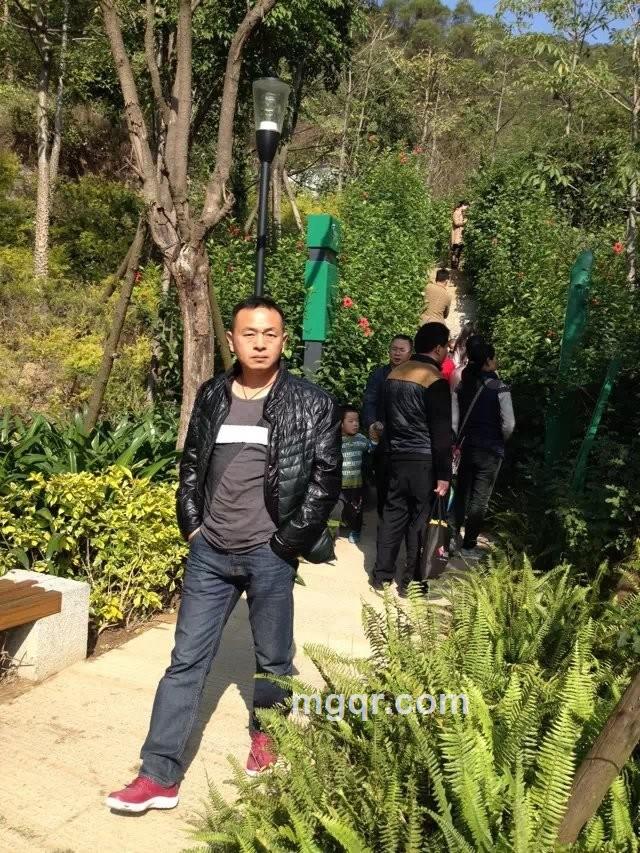 梦离寻情的头像