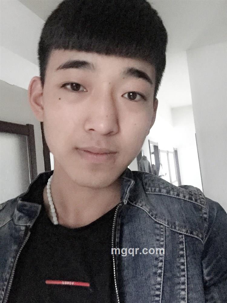 孤独的狼的头像
