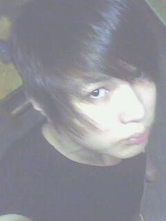 森林小怪的头像