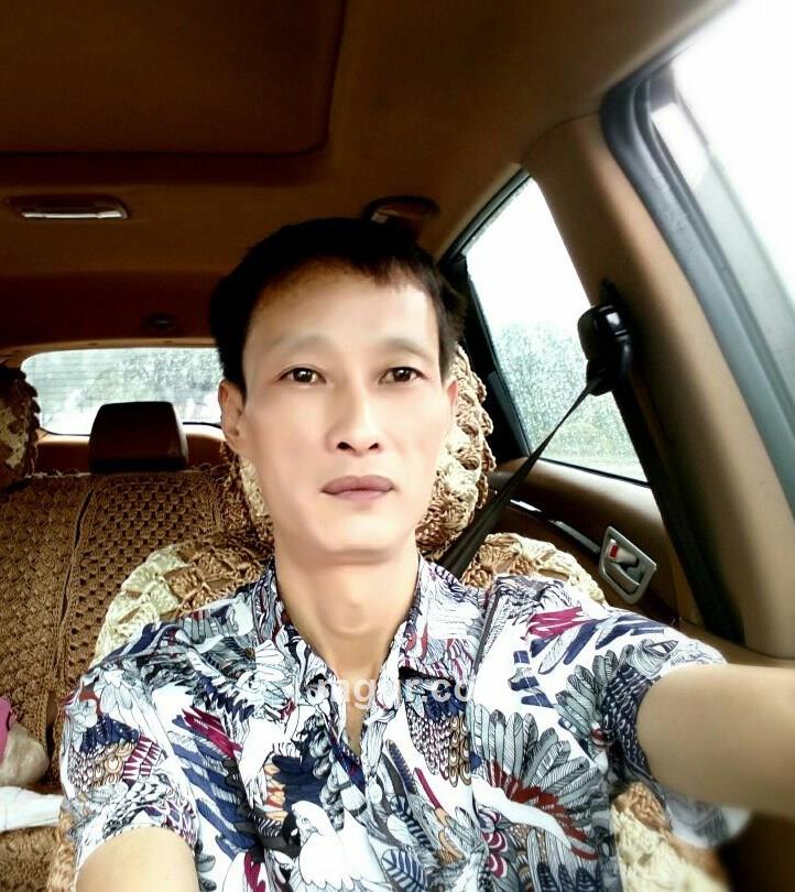 龙在天飞翔的头像