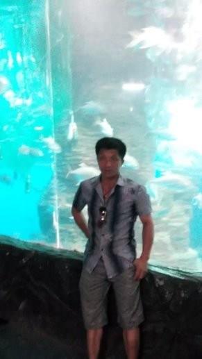 九指神功的头像