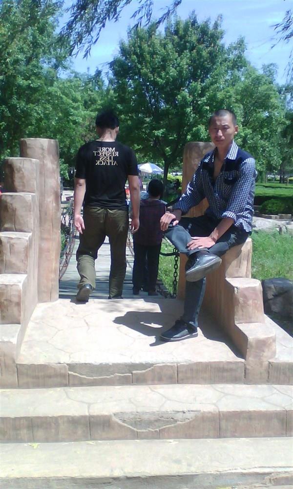 绿色的大树的头像