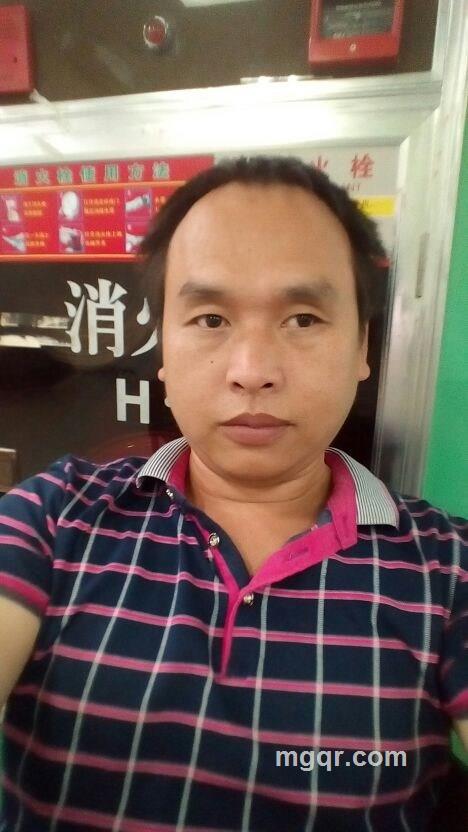 墙上上的猫的头像