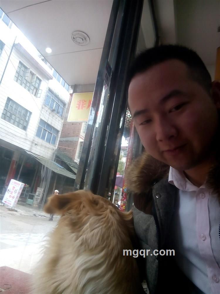 风一样的男人的头像