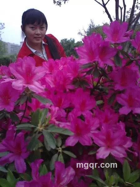 淡极更艳的头像