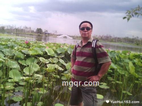 极品情人的头像