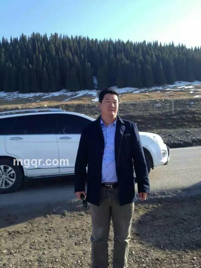 飘零的树叶的头像