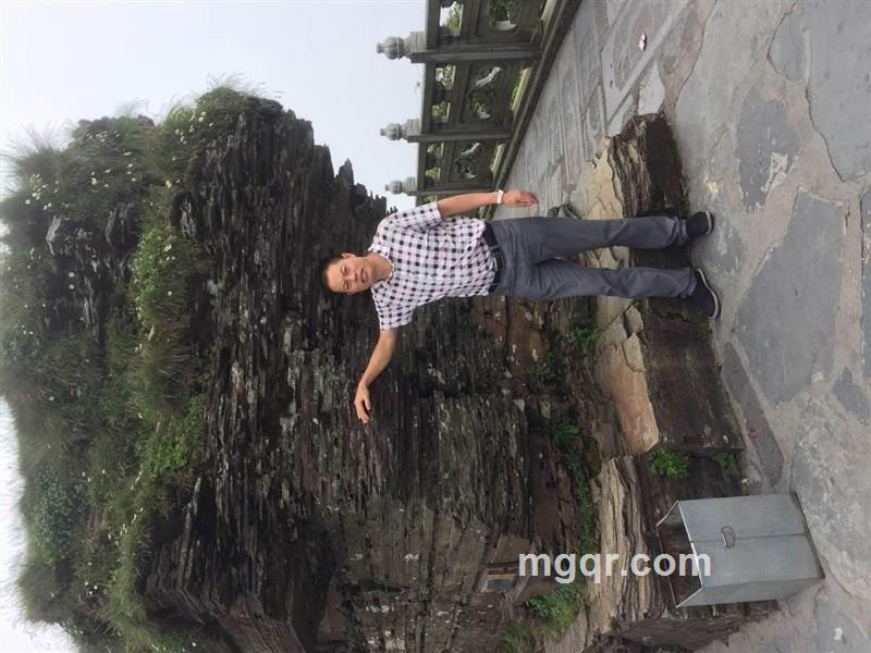 海阔天空的头像