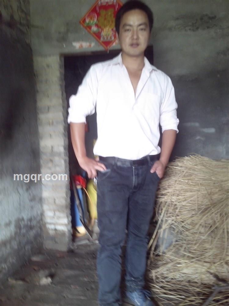 吃了猫的鱼的头像