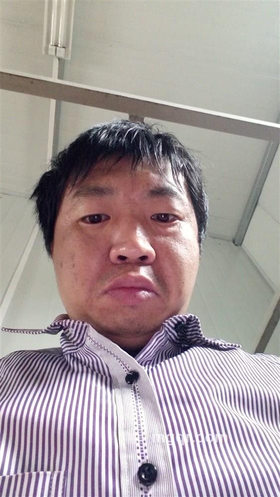 夜风来袭的头像