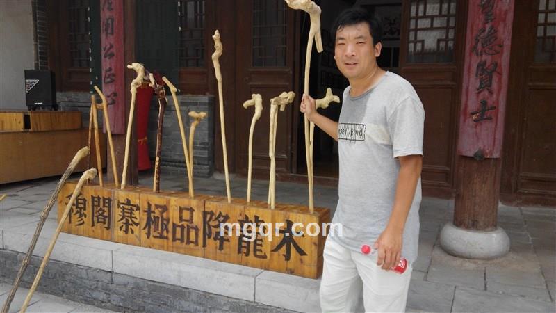 S寻找情侣S的头像