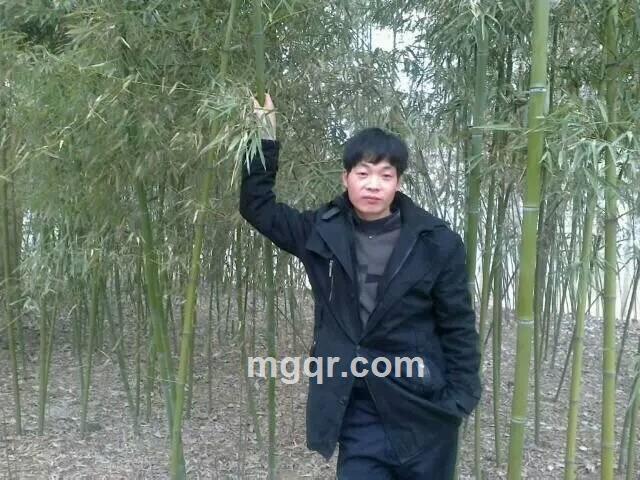 梦想富强的头像