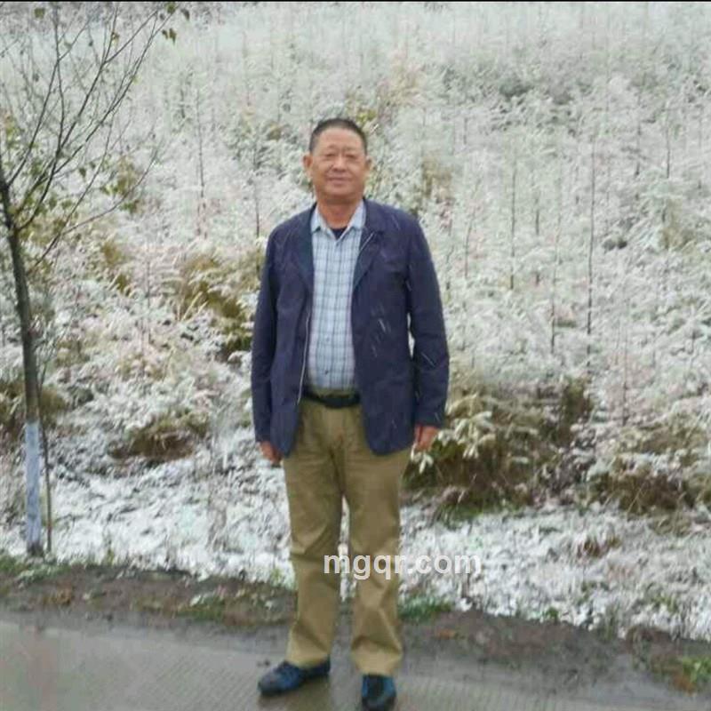 快乐的头像