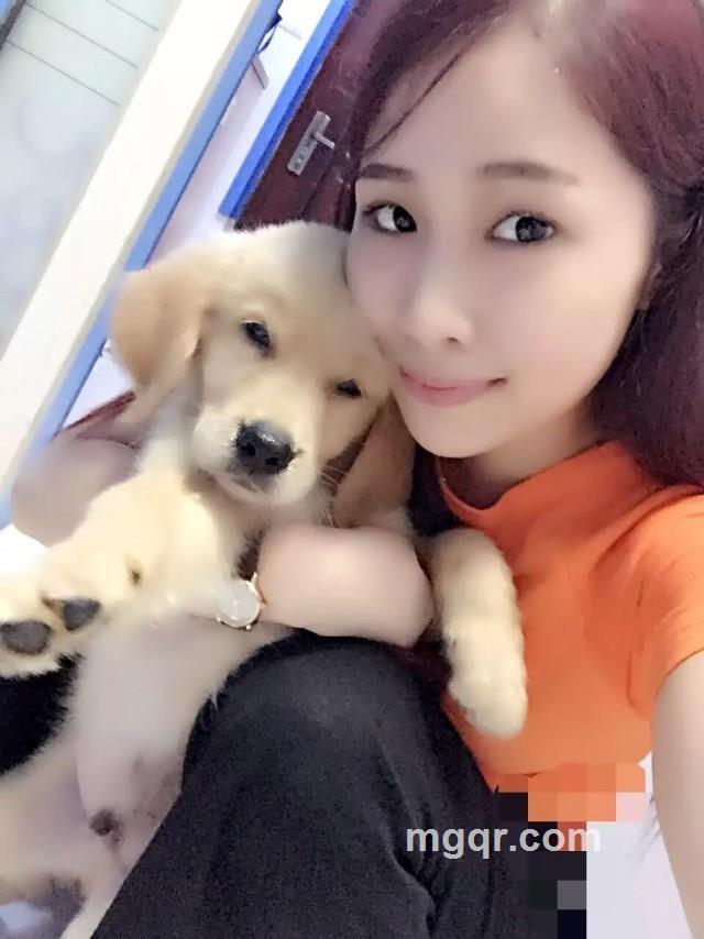 金鱼88的头像