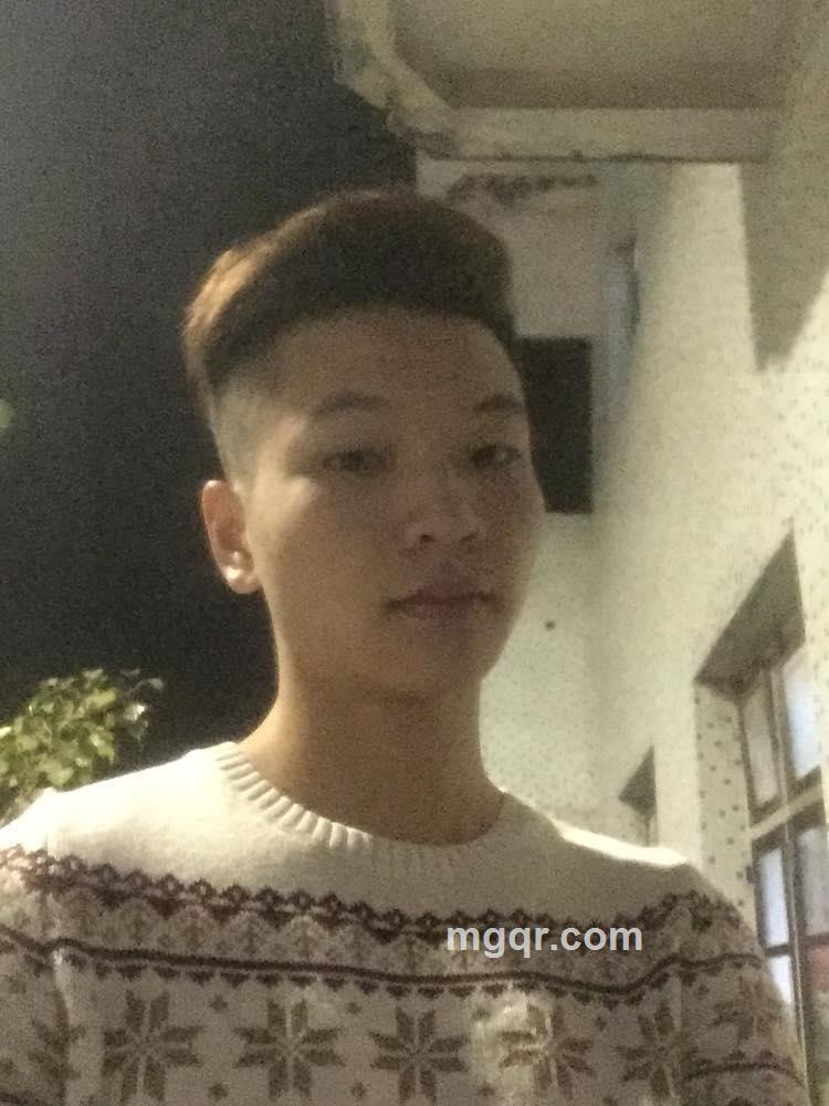 幻想的对象的头像