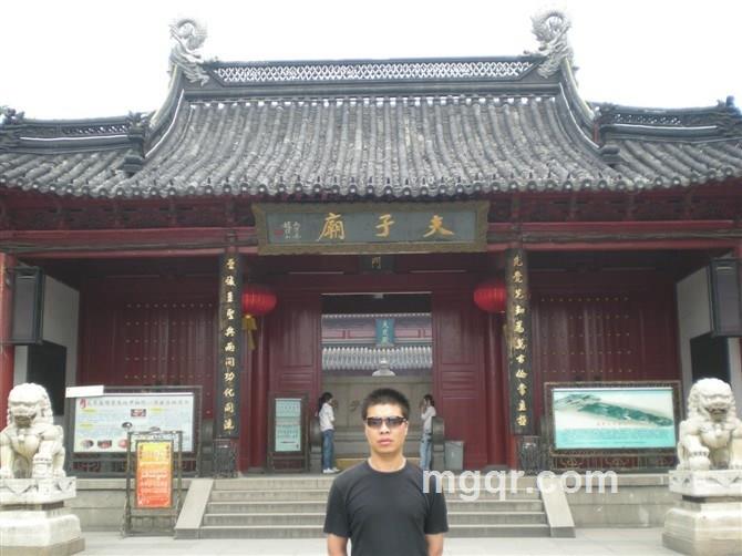 一只西方的狼的头像