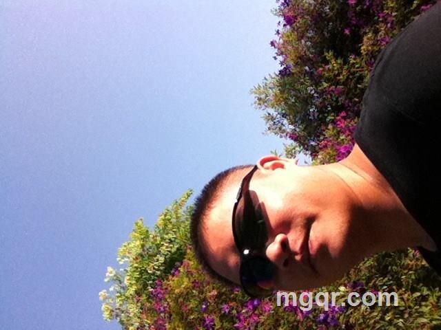 花开风尘的头像