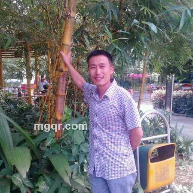 猫汉林的头像