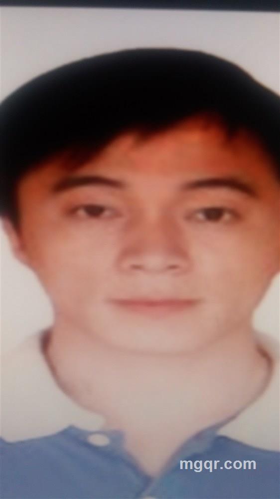 贪吃的野猫的头像